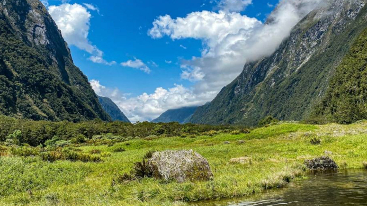 Yeni Zelanda’dan turistlere şok karar